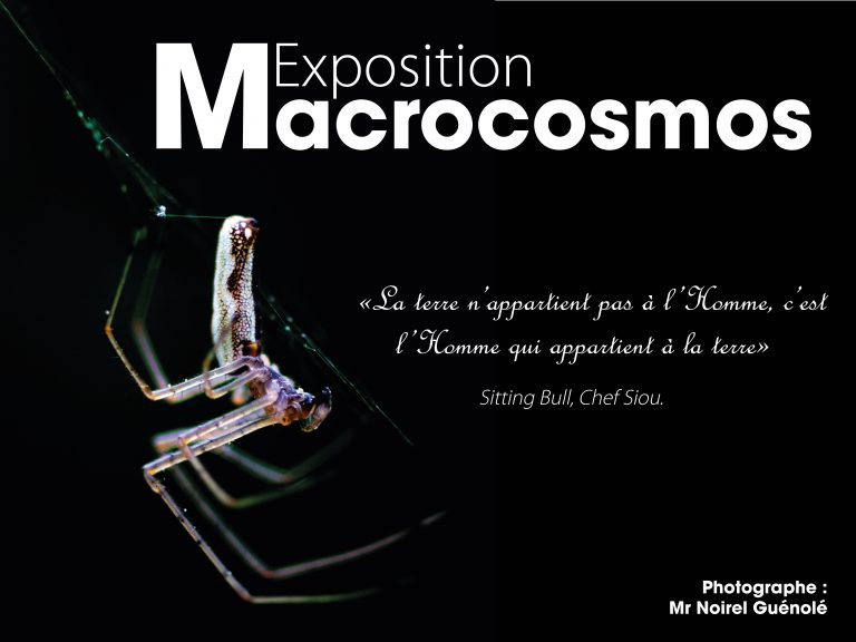Affiche d'exposition "Macrocosmos"
